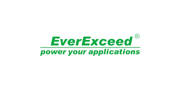 Ever Exceed logo
